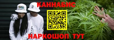 прущие грибы Гусиноозёрск