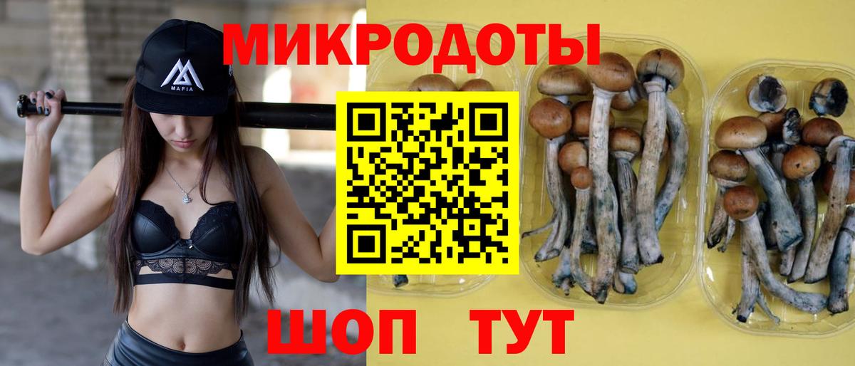 Галлюциногенные грибы Cubensis  магазин    Магнитогорск  Вход с VPN  Галлюциногенные грибы мицелий 